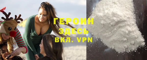 индика Гусев