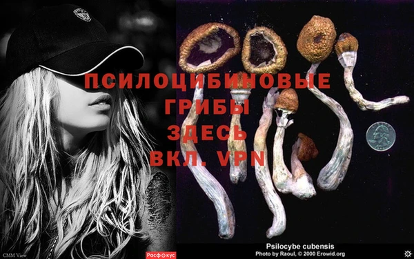 спиды Гусь-Хрустальный