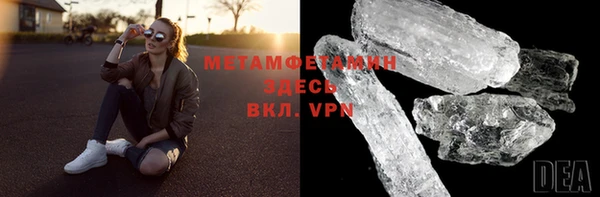индика Гусев