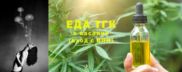 индика Гусев