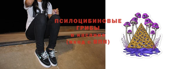 индика Гусев