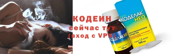 индика Гусев
