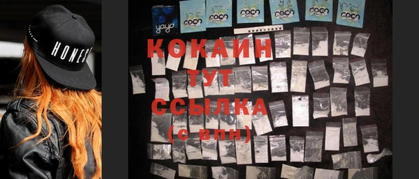 индика Гусев