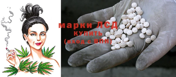 индика Гусев